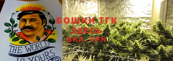 молекула духа Алзамай