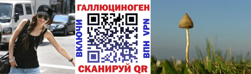 Псилоцибиновые грибы Magic Shrooms  Билибино 